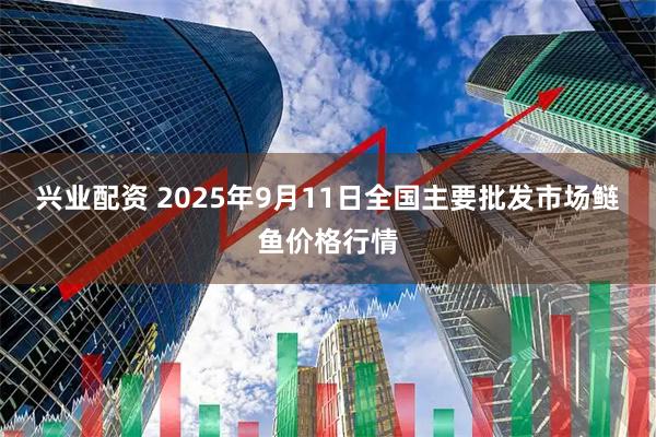兴业配资 2025年9月11日全国主要批发市场鲢鱼价格行情