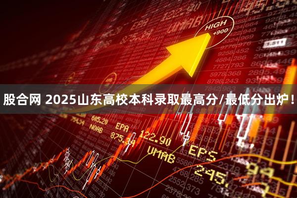 股合网 2025山东高校本科录取最高分/最低分出炉！