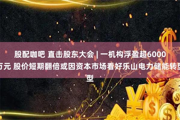 股配咖吧 直击股东大会 | 一机构浮盈超6000万元 股价短期翻倍或因资本市场看好乐山电力储能转型